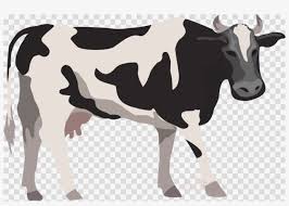 Beef
